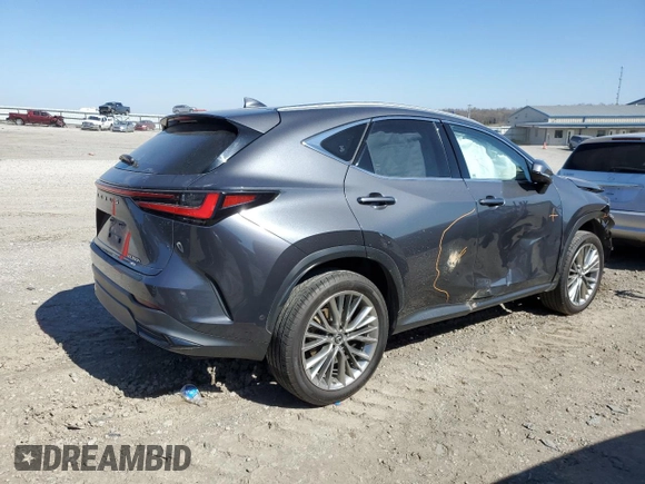 2022 Lexus NX with VIN JTJHKCEZ2N5000126, listed as a Copart auction lot 47527264 with Not Provided miles and Salvage Title. Bid and sale history available at carsss.com. Image 3.