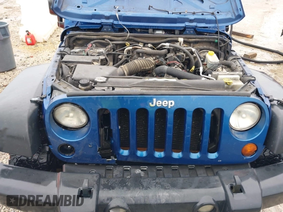 2009 Jeep Wrangler Unlimited X with VIN 1J4GA39189L787777, listed as a IAAI auction lot 41570579 with 193,163 mi miles. Bid and sale history available at carsss.com. Image 10.