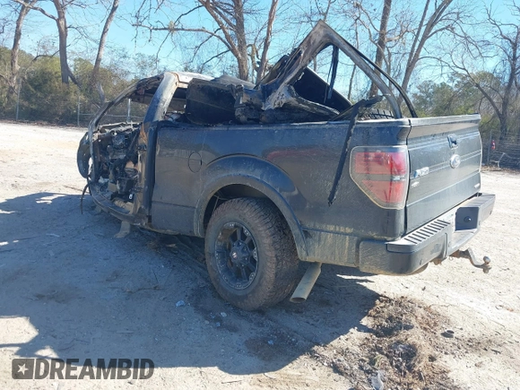 2014 Ford F-150 XL with VIN 1FTFX1CF1EFA39275, listed as a IAAI auction lot 41707491 with Not Provided miles and . Bid and sale history available at DreamBid. Image 3.
