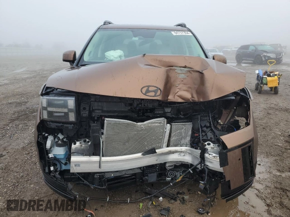 2024 Hyundai Santa Fe Calligraphy with VIN 5NMP5DGLXRH019627, listed as a Copart auction lot 84737354 with 3,873 mi miles and Salvage title. Bid and sale history available at DreamBid. Image 5.
