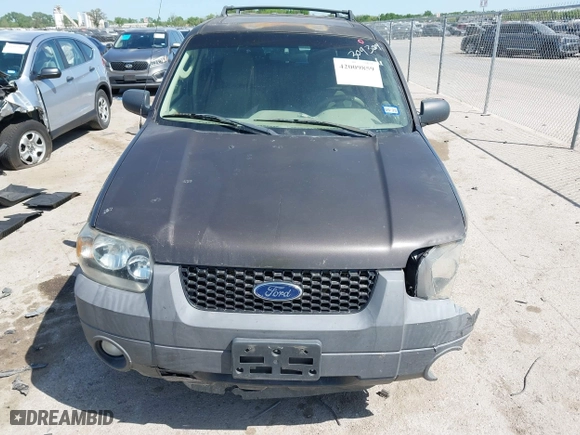 2007 Ford Escape XLT with VIN 1FMYU03167KA10635, listed as a IAAI auction lot 42009859 with 1 mi miles. Bid and sale history available at carsss.com. Image 12.