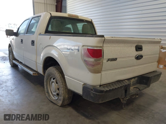2010 Ford F-150 XL with VIN 1FTEW1E8XAFC98418, listed as a IAAI auction lot 42614159 with Not provided miles and . Bid and sale history available at DreamBid. Image 3.