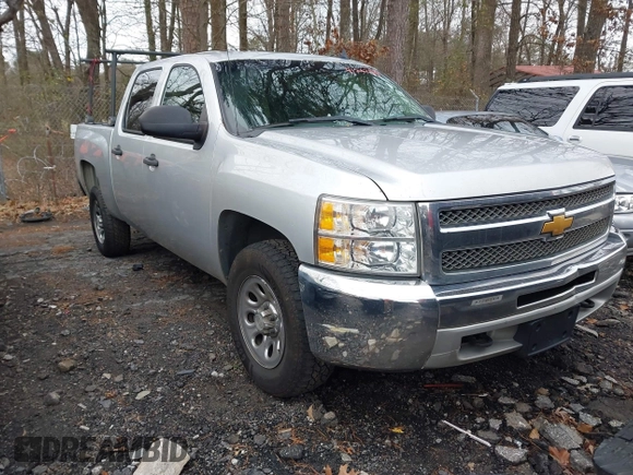 2013 Chevrolet Silverado 1500 LS with VIN 3GCPKREA2DG160722, listed as a IAAI auction lot 41262914 with 324,775 mi miles and . Bid and sale history available at DreamBid. Image 1.