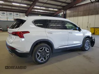 2023 Hyundai Santa Fe Limited with VIN 5NMS4DAL0PH532162, listed as a Copart auction lot 55289655 with 48,887 mi miles and Clean Title. Bid and sale history available at DreamBid. Image 3.