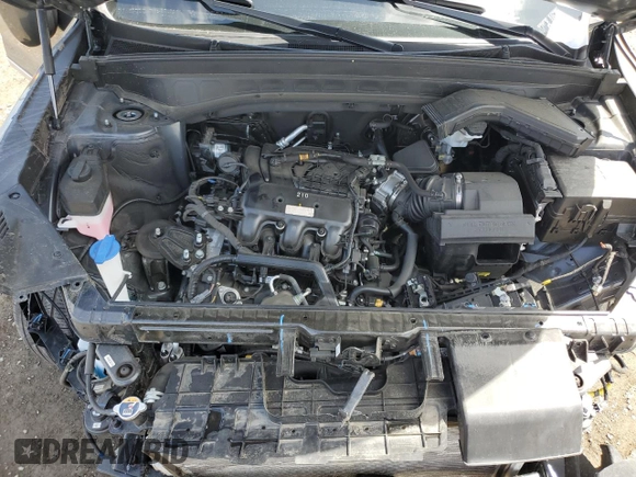 2022 Kia Telluride SX with VIN 5XYP54HC3NG266314, listed as a Copart auction lot 51284385 with Not provided miles and Salvage title. Bid and sale history available at DreamBid. Image 13.