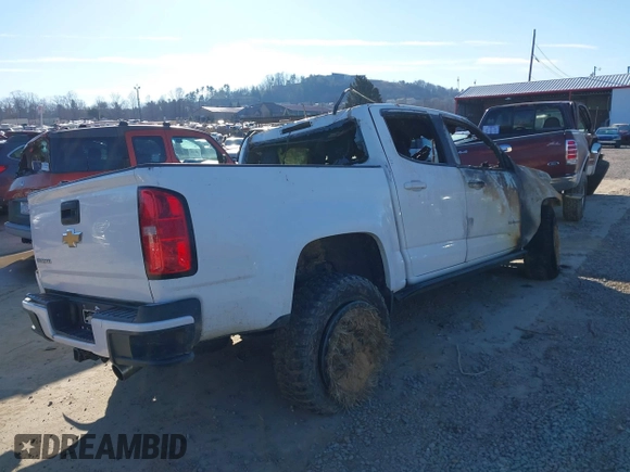 2015 Chevrolet Colorado 4WD Z71 with VIN 1GCGTCE3XF1207119, listed as a IAAI auction lot 41179141 with Not provided miles and . Bid and sale history available at DreamBid. Image 4.