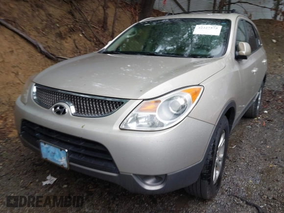 2008 Hyundai Veracruz GLS with VIN KM8NU13CX8U034422, listed as a IAAI auction lot 42327575 with 162,310 mi miles and . Bid and sale history available at DreamBid. Image 16.