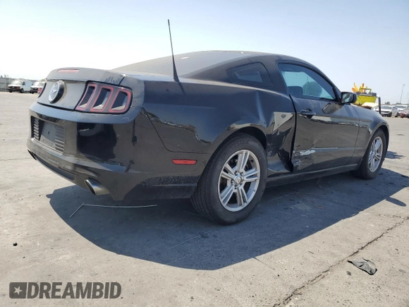 2013 Ford Mustang V6 with VIN 1ZVBP8AM6D5243659, listed as a Copart auction lot 59528155 with 169,494 mi miles and Salvage title. Bid and sale history available at DreamBid. Image 3.