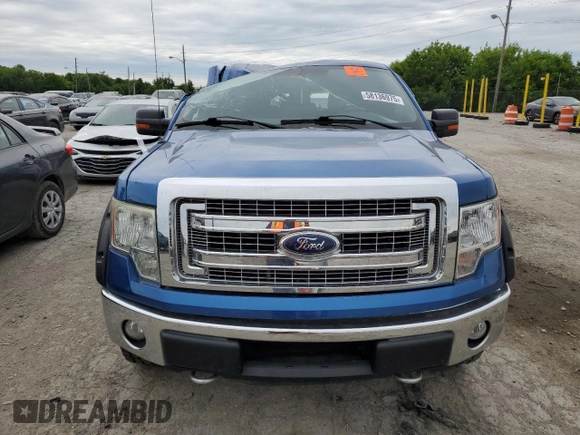2013 Ford F-150 XL with VIN 1FTFW1EF1DKD22149, listed as a Copart auction lot 58136975 with 202,594 mi miles and Salvage title. Bid and sale history available at DreamBid. Image 5.