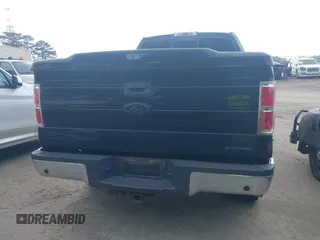 2014 Ford F-150 XL with VIN 1FTFX1EF0EKG08427, listed as a IAAI auction lot 42127077 with 203,377 mi miles. Bid and sale history available at carsss.com. Image 16.