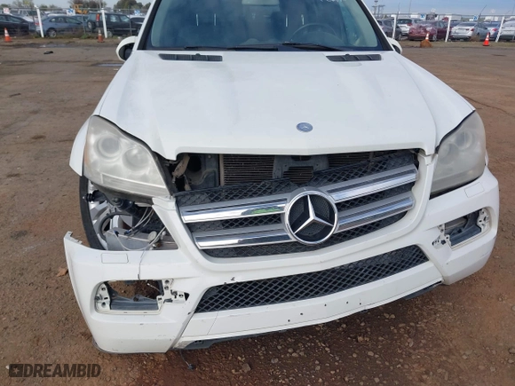 2010 Mercedes-Benz GL-Class GL 450 with VIN 4JGBF7BEXAA557644, listed as a IAAI auction lot 41862216 with 141,849 mi miles. Bid and sale history available at carsss.com. Image 6.