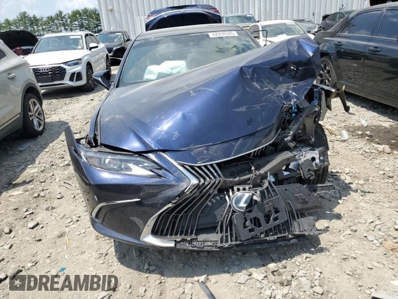 2019 Lexus ES 350 with VIN 58ABZ1B10KU021831, listed as a Copart auction lot 62299345 with Not provided miles and Salvage title. Bid and sale history available at DreamBid. Image 5.