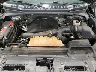 2016 Ford F-150 XLT with VIN 1FTEW1EG6GFA30417, listed as a Copart auction lot 62717765 with 125,726 mi miles and Salvage title. Bid and sale history available at DreamBid. Image 11.