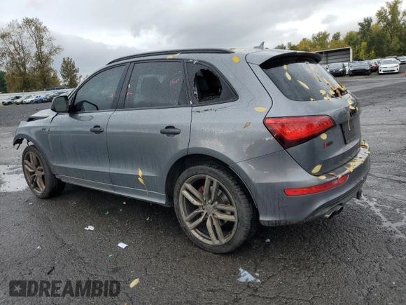 2017 Audi SQ5 Premium Plus with VIN WA1CCAFP2HA045617, listed as a Copart auction lot 77871754 with 109,057 mi miles and Salvage title. Bid and sale history available at DreamBid. Image 2.