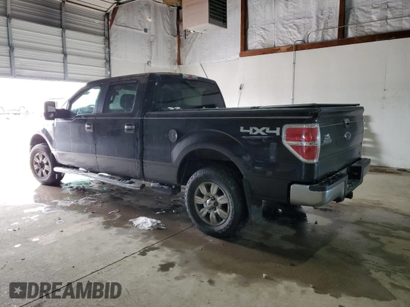 2010 Ford F-150 XL with VIN 1FTFW1EV8AFD31300, listed as a Copart auction lot 45961935 with Not Provided miles and Salvage Title. Bid and sale history available at DreamBid. Image 2.