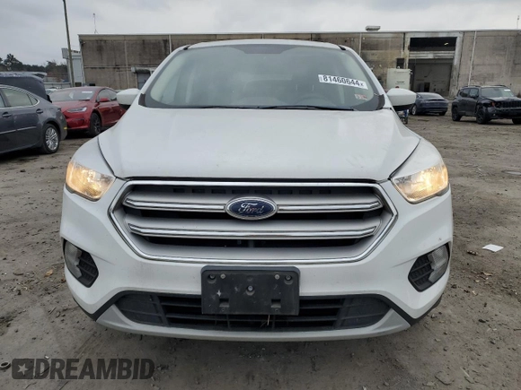 2019 Ford Escape SE with VIN 1FMCU9GDXKUB96437, listed as a Copart auction lot 81460644 with 145,466 mi miles and Clean Title. Bid and sale history available at carsss.com. Image 5.