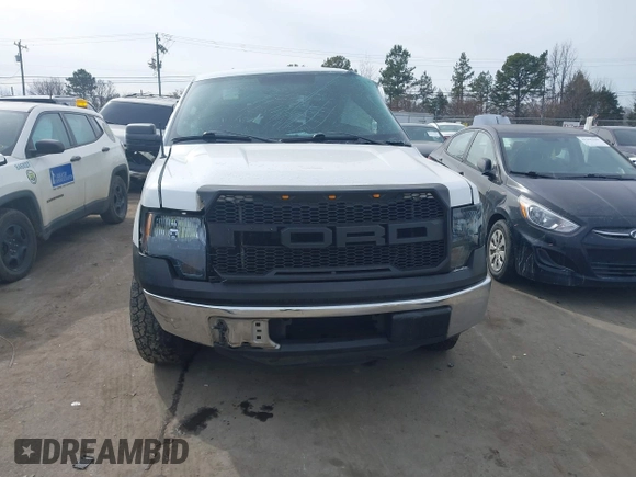 2011 Ford F-150 XL with VIN 1FTEX1CM9BKD22729, listed as a IAAI auction lot 41411916 with 193,466 mi miles. Bid and sale history available at carsss.com. Image 11.