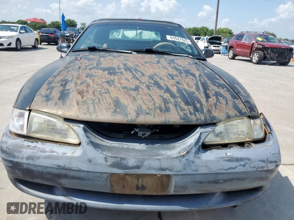 1995 Ford Mustang with VIN 1FALP4443SF210871, listed as a Copart auction lot 61627625 with 132,696 mi miles and Clean title. Bid and sale history available at DreamBid. Image 5.
