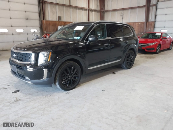 2022 Kia Telluride SX with VIN 5XYP5DHC8NG199158, listed as a IAAI auction lot 41768224 with 53,160 mi miles. Bid and sale history available at carsss.com. Image 17.