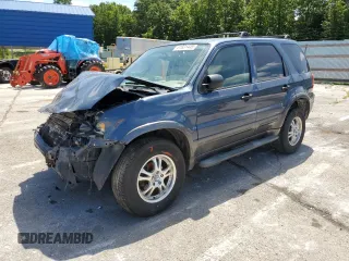 2006 Ford Escape XLT with VIN 1FMYU03146KA43518, listed as a Copart auction lot 61831445 with 191,612 mi miles and Salvage title. Bid and sale history available at DreamBid. Image 1.