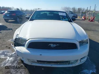 2013 Ford Mustang V6 with VIN 1ZVBP8AM6D5275902, listed as a IAAI auction lot 41750633 with 246,762 mi miles and . Bid and sale history available at DreamBid. Image 6.