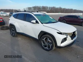 2022 Hyundai Tucson SEL with VIN 5NMJCCAE7NH158933, listed as a IAAI auction lot 41531628 with 57,996 mi miles and . Bid and sale history available at DreamBid. Image 1.