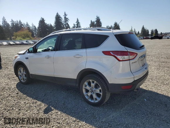 2016 Ford Escape Titanium with VIN 1FMCU9JX5GUC44579, listed as a Copart auction lot 54974965 with 113,776 mi miles and Salvage Title. Bid and sale history available at DreamBid. Image 2.