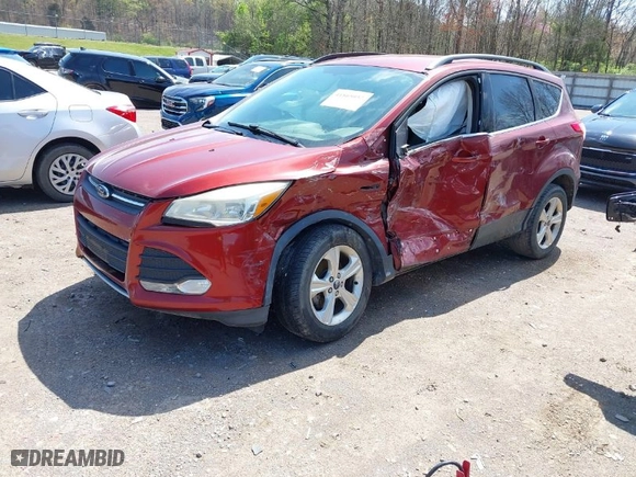 2014 Ford Escape SE with VIN 1FMCU0GX0EUB54675, listed as a IAAI auction lot 41865057 with 145,632 mi miles. Bid and sale history available at carsss.com. Image 2.