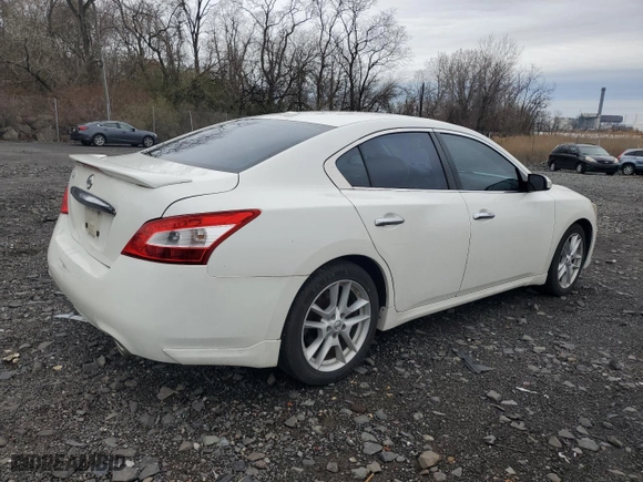 2009 Nissan Maxima 3.5 SV w/Sport Pkg with VIN 1N4AA51E89C842983, listed as a Copart auction lot 51309885 with 80,844 mi miles and Salvage Title. Bid and sale history available at carsss.com. Image 3.