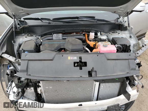 2024 Hyundai Santa Fe Calligraphy with VIN 5NMP5DG13RH002974, listed as a Copart auction lot 51109775 with 16,906 mi miles and Salvage title. Bid and sale history available at DreamBid. Image 11.