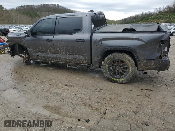 2023 Toyota Tundra SR5 with VIN 5TFLA5DB7PX064282, listed as a Copart auction lot 51097575 with Not provided miles and Salvage title. Bid and sale history available at DreamBid. Image 2.