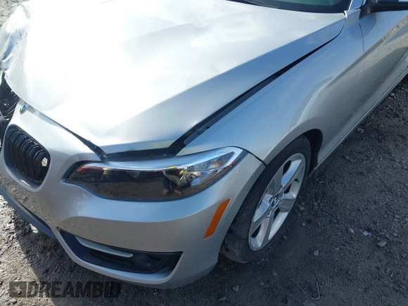 2016 BMW 2 Series 228i with VIN WBA1F9C58GV546490, listed as a IAAI auction lot 41811819 with 69,434 mi miles. Bid and sale history available at carsss.com. Image 20.