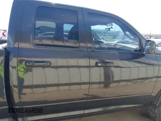 2009 Dodge 1500 ST with VIN 1D3HB18K29S798647, listed as a IAAI auction lot 41785924 with 246,981 mi miles and . Bid and sale history available at DreamBid. Image 19.