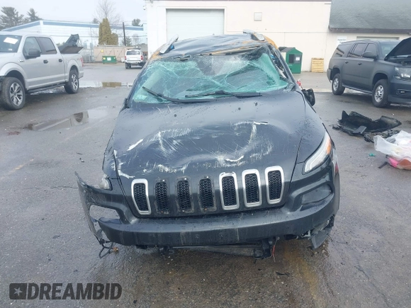 2016 Jeep Cherokee Latitude z VIN 1C4PJMCBXGW367253, wystawiony jako IAAI lot #41719061 z przebiegiem 140 369 mil mil oraz . Historia ofert i sprzedaży dostępna na DreamBid. Obrazek 11.