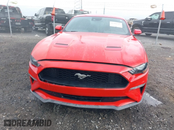 2022 Ford Mustang EcoBoost with VIN 1FA6P8TH4N5102519, listed as a IAAI auction lot 41922347 with 49,454 mi miles. Bid and sale history available at carsss.com. Image 12.