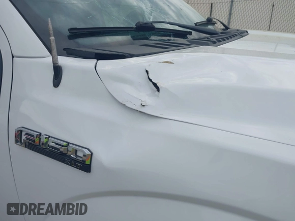 2017 Ford F-150 XL with VIN 1FTFW1EF3HKD01096, listed as a IAAI auction lot 41856491 with 194,667 mi miles and . Bid and sale history available at DreamBid. Image 17.
