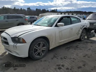 2014 Dodge Charger SXT Plus with VIN 2C3CDXJG0EH296411, listed as a Copart auction lot 46529755 with 136,078 mi miles and Salvage Title. Bid and sale history available at carsss.com. Image 1.