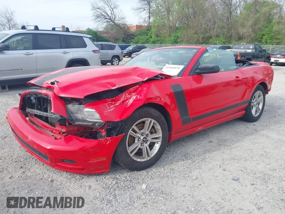 2014 Ford Mustang V6 with VIN 1ZVBP8EM3E5208282, listed as a IAAI auction lot 42104971 with Not Provided miles. Bid and sale history available at carsss.com. Image 21.
