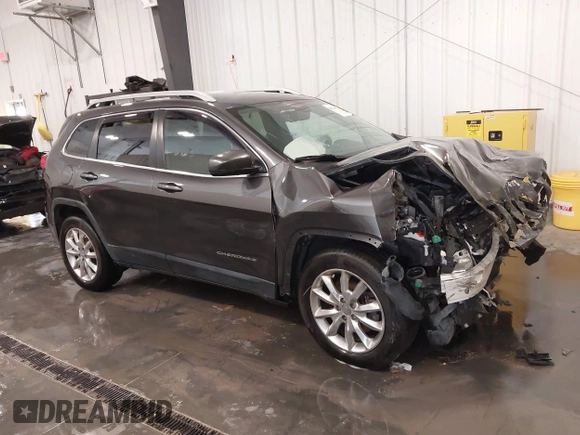 2016 Jeep Cherokee Limited with VIN 1C4PJMDS3GW296279, listed as a IAAI auction lot 41914810 with 124,886 mi miles and . Bid and sale history available at DreamBid. Image 1.