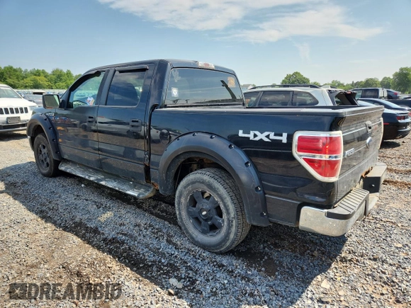 2010 Ford F-150 XL with VIN 1FTFW1EV9AFA81260, listed as a Copart auction lot 63248525 with 141,029 mi miles and Clean title. Bid and sale history available at DreamBid. Image 2.