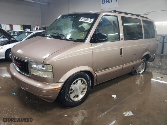 2002 GMC Safari Passenger with VIN 1GKEL19X62B501599, listed as a Copart auction lot 45506955 with NaN miles and Salvage Title. Bid and sale history available at carsss.com. Image 1.