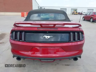 2015 Ford Mustang EcoBoost Premium with VIN 1FATP8UH3F5343720, listed as a IAAI auction lot 42413198 with 144,430 mi miles and . Bid and sale history available at DreamBid. Image 17.