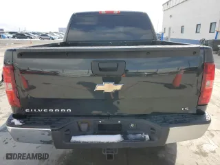 2009 Chevrolet Silverado 1500 LS with VIN 3GCEC13C29G250213, listed as a Copart auction lot 46454145 with 165,385 mi miles and Salvage Title. Bid and sale history available at carsss.com. Image 6.