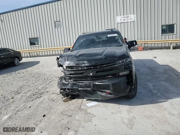 2019 Chevrolet Silverado 1500 LT Trail Boss with VIN 3GCPYFED3KG212539, listed as a Copart auction lot 49748175 with 116,202 mi miles and Salvage Title. Bid and sale history available at carsss.com. Image 10.