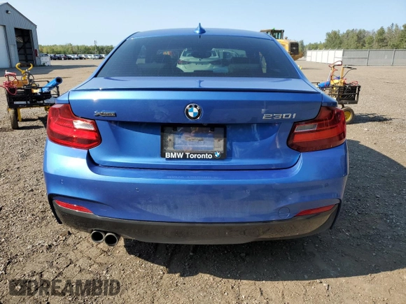 2017 BMW 2 Series 230i xDrive with VIN WBA2H9C53HV641944, listed as a Copart auction lot 70191654 with 107,225 mi miles and Clean Title. Bid and sale history available at carsss.com. Image 6.