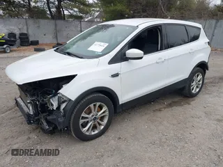 2017 Ford Escape SE with VIN 1FMCU9GD7HUA56550, listed as a IAAI auction lot 41779624 with 133,231 mi miles. Bid and sale history available at carsss.com. Image 17.