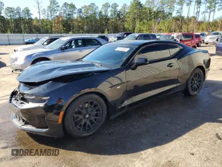 2019 Chevrolet Camaro 1LT with VIN 1G1FB1RX9K0152364, listed as a Copart auction lot 81344034 with 62,495 mi miles and Salvage Title. Bid and sale history available at carsss.com. Image 1.