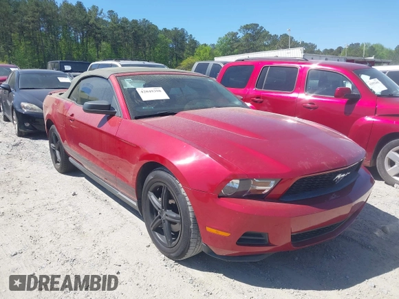 2010 Ford Mustang V6 with VIN 1ZVBP8EN4A5175330, listed as a IAAI auction lot 42049398 with 111,339 mi miles. Bid and sale history available at carsss.com. Image 1.