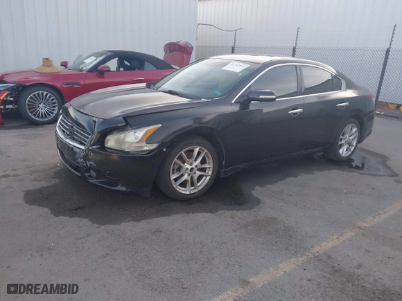 2010 Nissan Maxima 3.5 SV w/Premium Pkg with VIN 1N4AA5AP1AC805361, listed as a IAAI auction lot 41712952 with 104,730 mi miles. Bid and sale history available at carsss.com. Image 2.