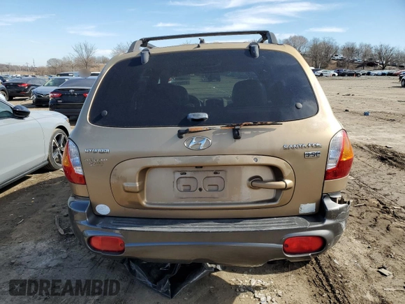 2004 Hyundai Santa Fe GLS with VIN KM8SC13E34U725793, listed as a Copart auction lot 45959715 with 141,943 mi miles and Salvage Title. Bid and sale history available at carsss.com. Image 6.